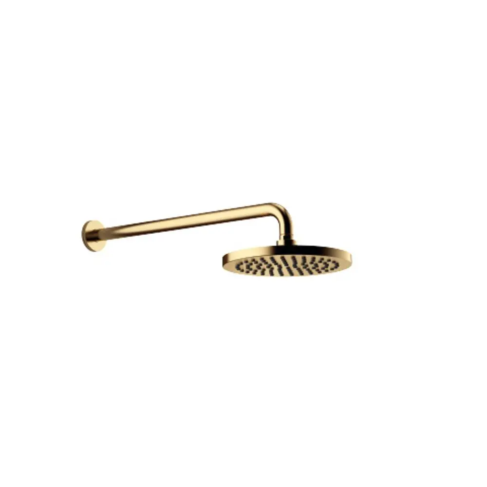 DORNBRACHT Regenbrause mit Wandanbindung SERIENSPEZIFISCH 28649970 220 mm Messing gebürstet (23kt Gold), 28649970-28 Galeriebild 1